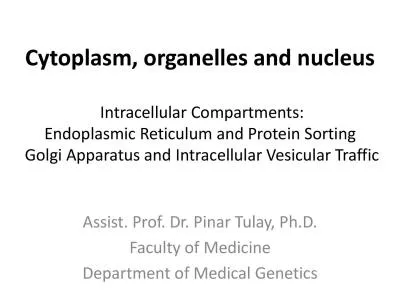 Cytoplasm organelles and nucleus