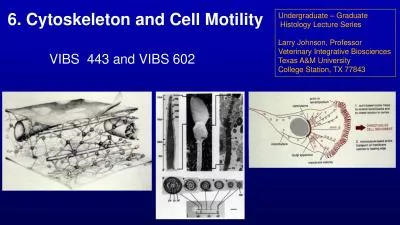 6 Cytoskeleton and Cell Motility