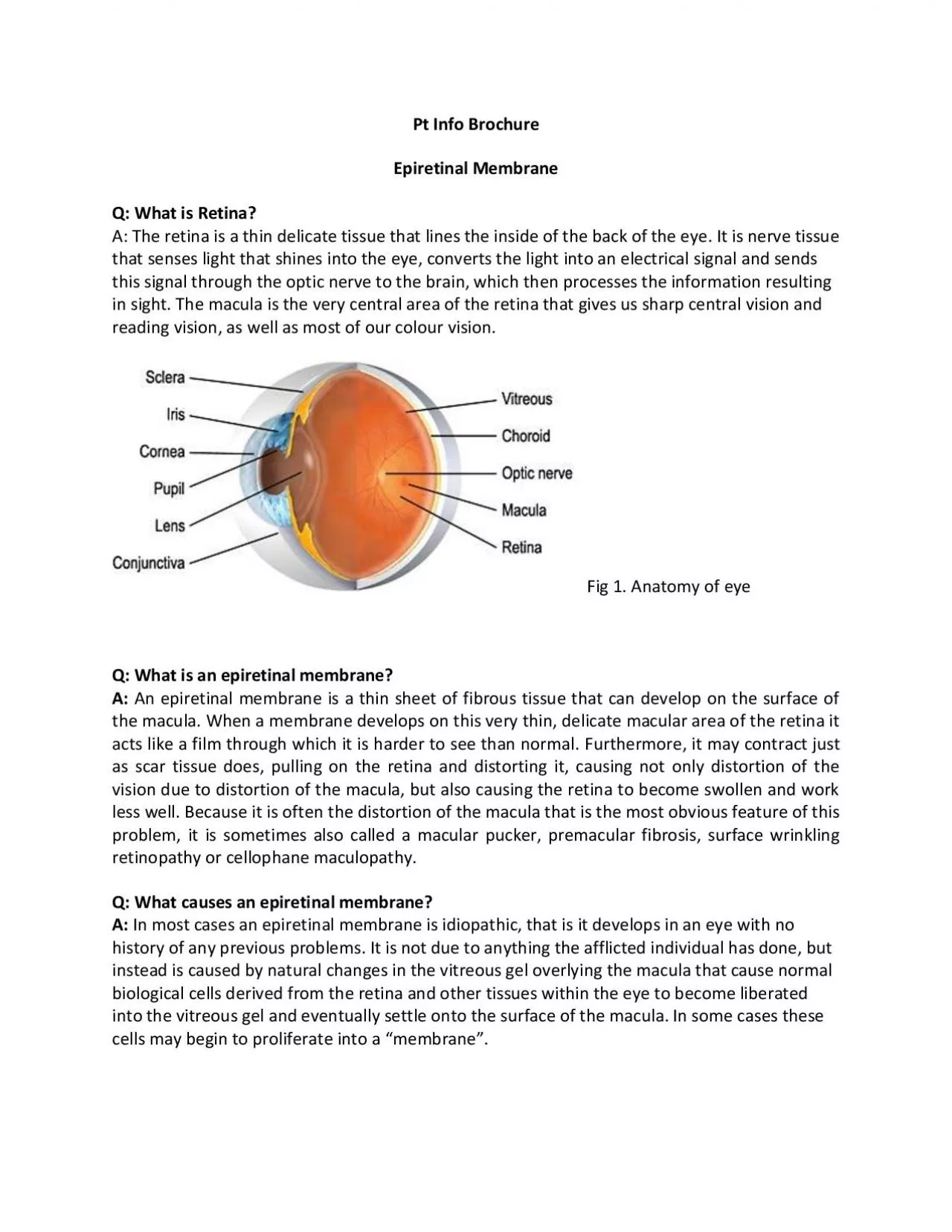 PDF-Pt Info Brochure