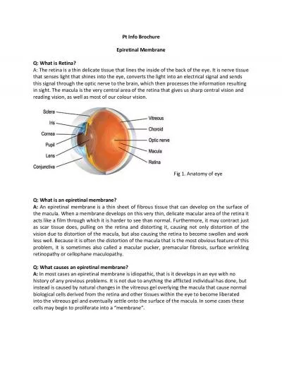 Pt Info Brochure