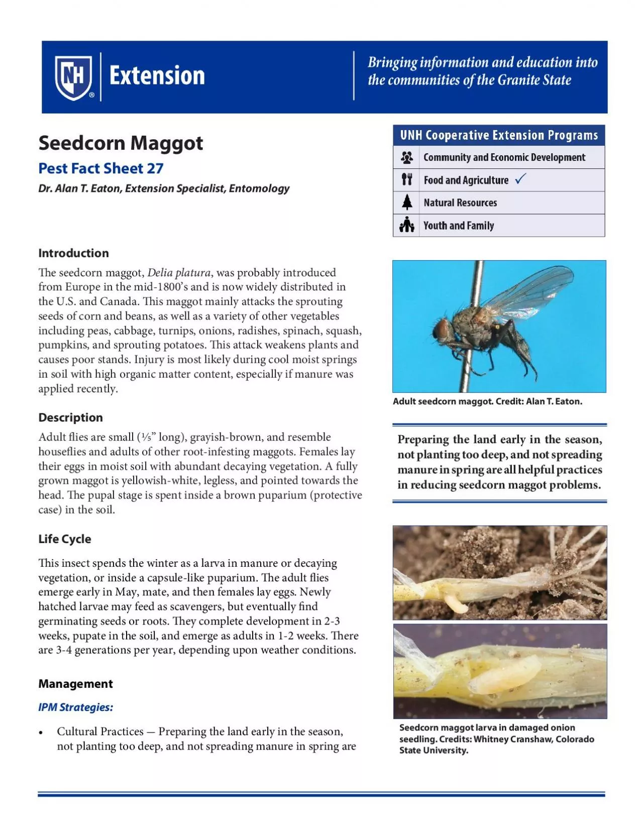 PDF-Seedcorn Maggot