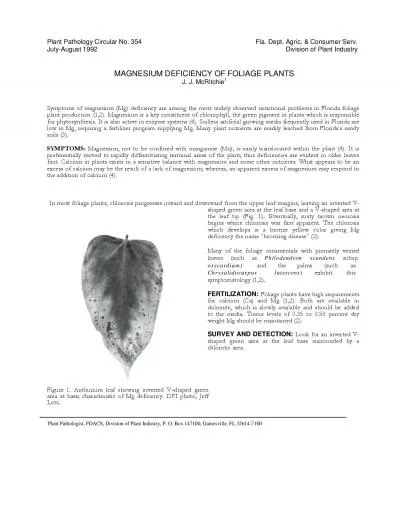 Plant Pathology Circular No 354 Fla Dept Agric  Consumer Serv Ju