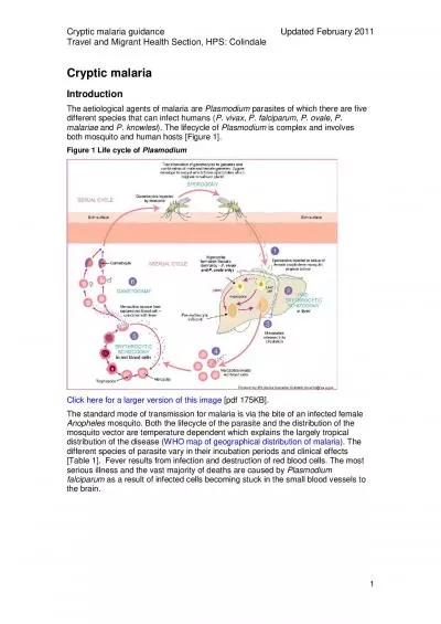 x0000x0000Cryptic malaria guidanceUpdated February 2011Travel an