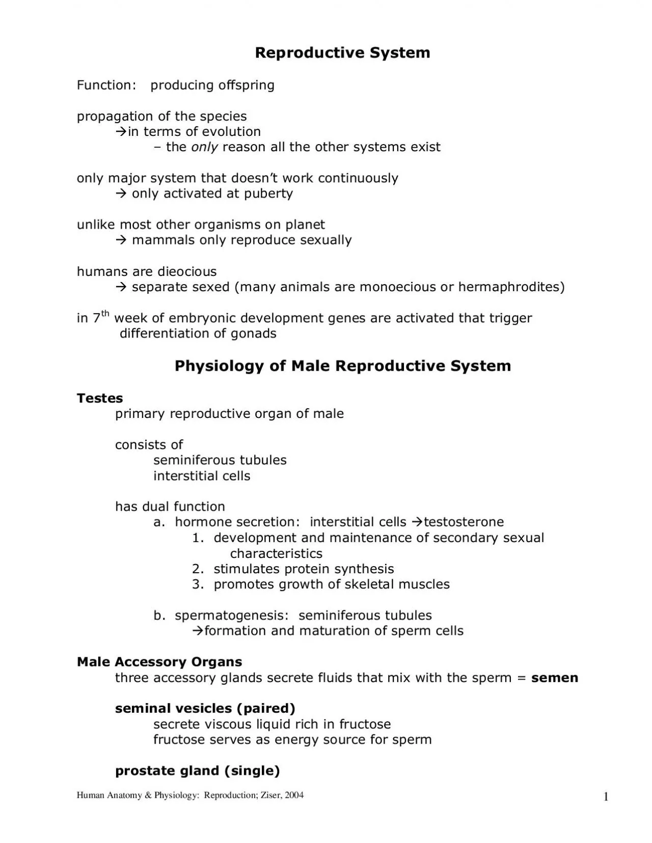 PDF-b spermatogenesis seminiferous tubules