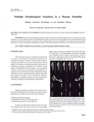 Multiple Morphological Variations in a Human MandibleM156ltiples Va