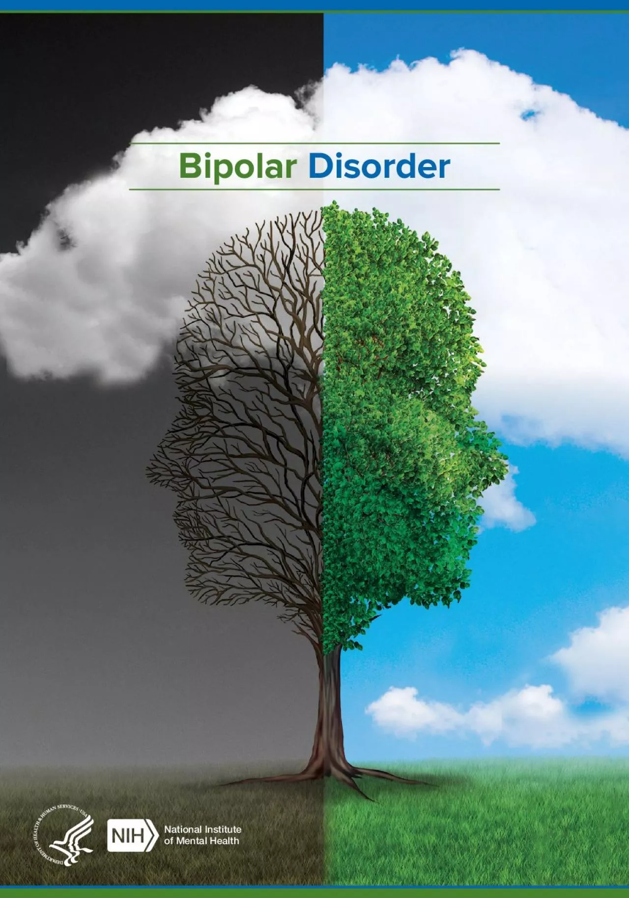 PDF-BipolarDisorder