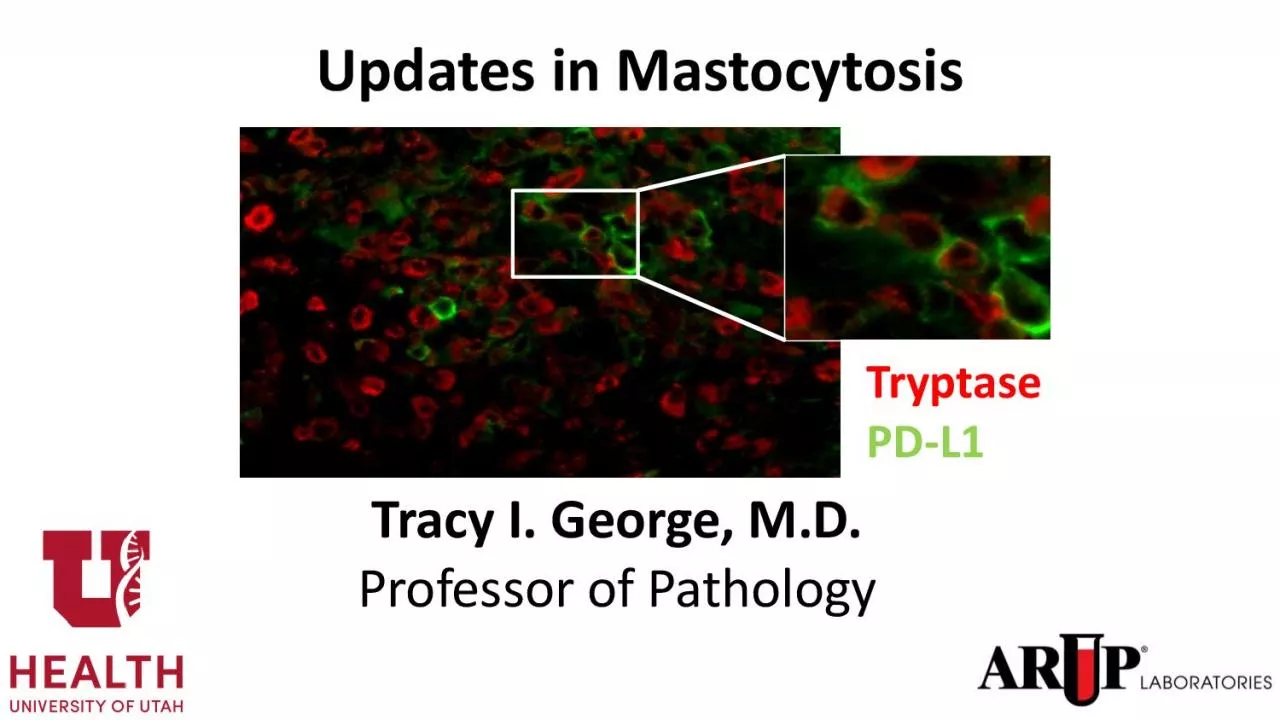 PDF-Updates in Mastocytosis