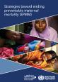 Strategies toward ending preventable maternal mortality EPMM