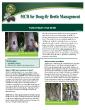 Forest Health Fact Sheet