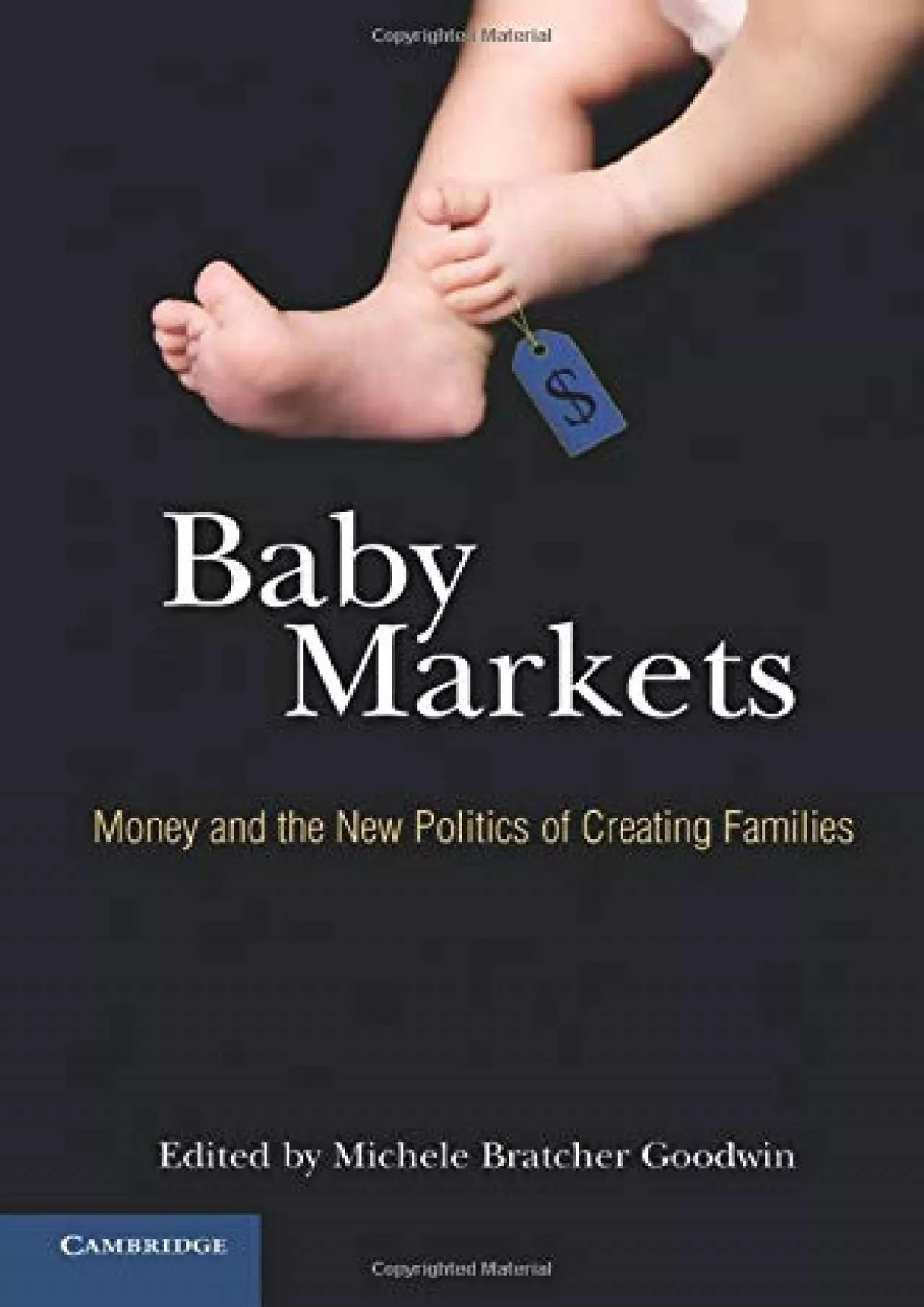 PDF-(BOOK)-Baby Markets: Money and the New Politics of Creating Families