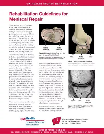 PDF-UWSPORTSMEDICINEORG 4602 EASTPARK BLVD 149 MADISON WI 53718