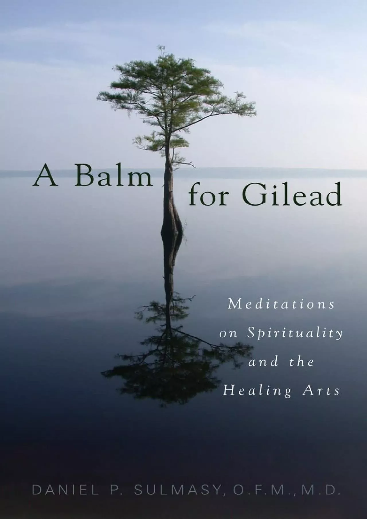 PDF-(EBOOK)-A Balm for Gilead: Meditations on Spirituality and the Healing Arts