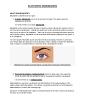 PDF-BLEPHARITIS