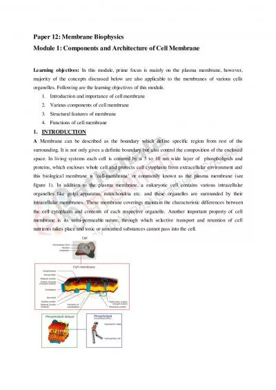 Paper 12 Membrane Biophysics