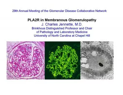 29th Annual Meeting of the Glomerular Disease Collaborative NetworkPLA