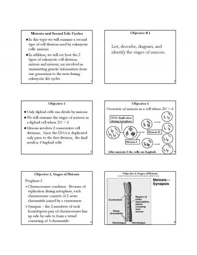 Meiosis and Sexual Life CyclesIn this topic we will examine a second I