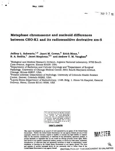 25058026.pdf