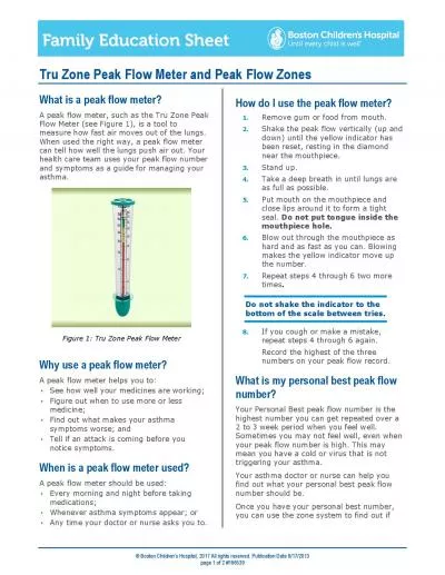 the right way a peak flow meter can tell how well the lungs push air