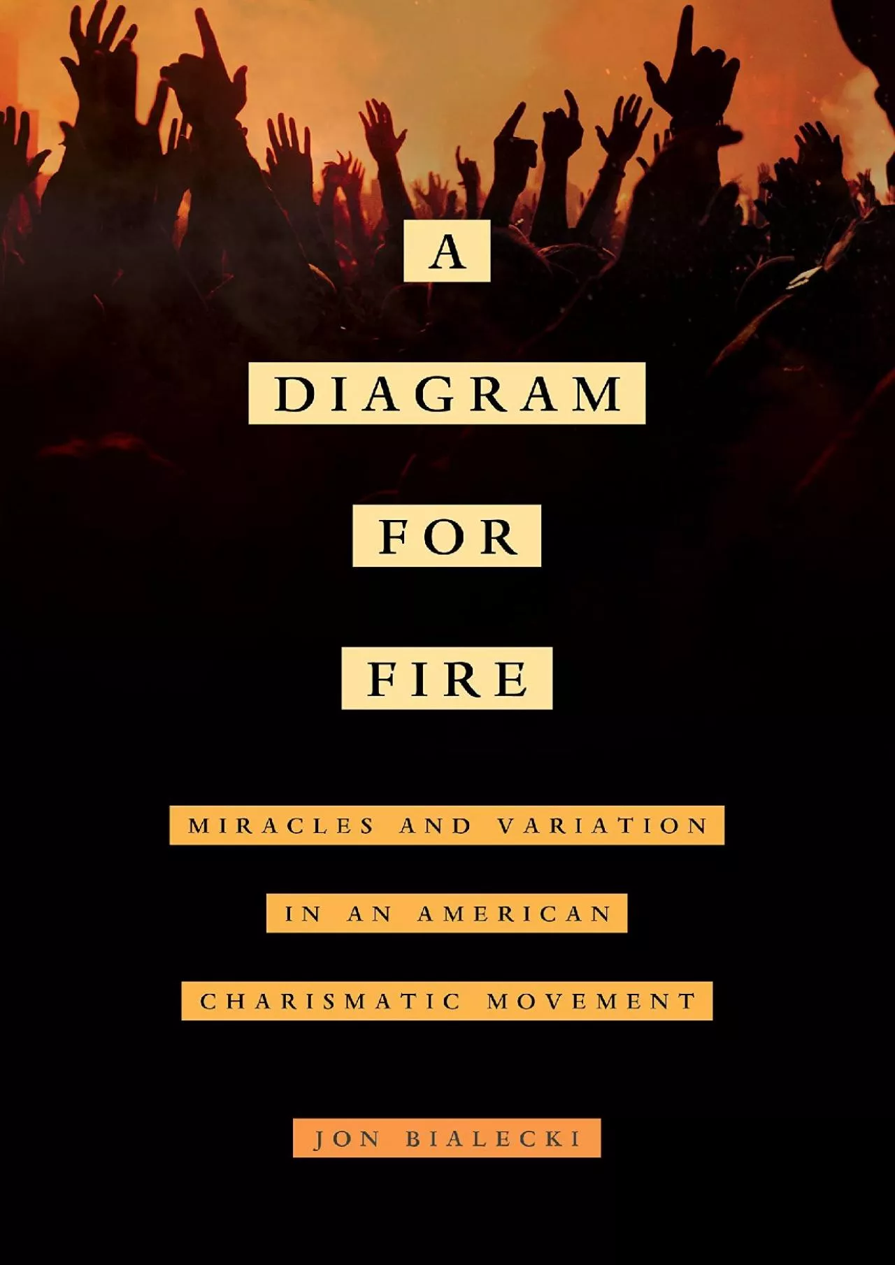 PDF-(EBOOK)-A Diagram for Fire: Miracles and Variation in an American Charismatic Movement