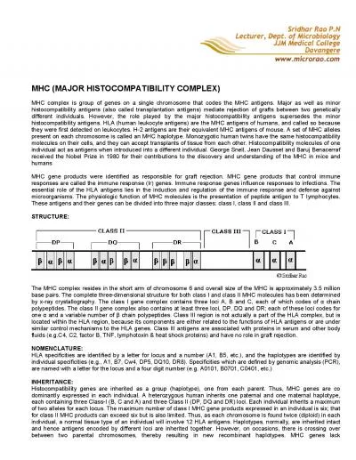 MHC MAJOR HISTOCOMPATIBILITY COMPLEX MHC complex is group of genes o