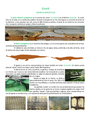 El gavial (Gavialis gange�cus)