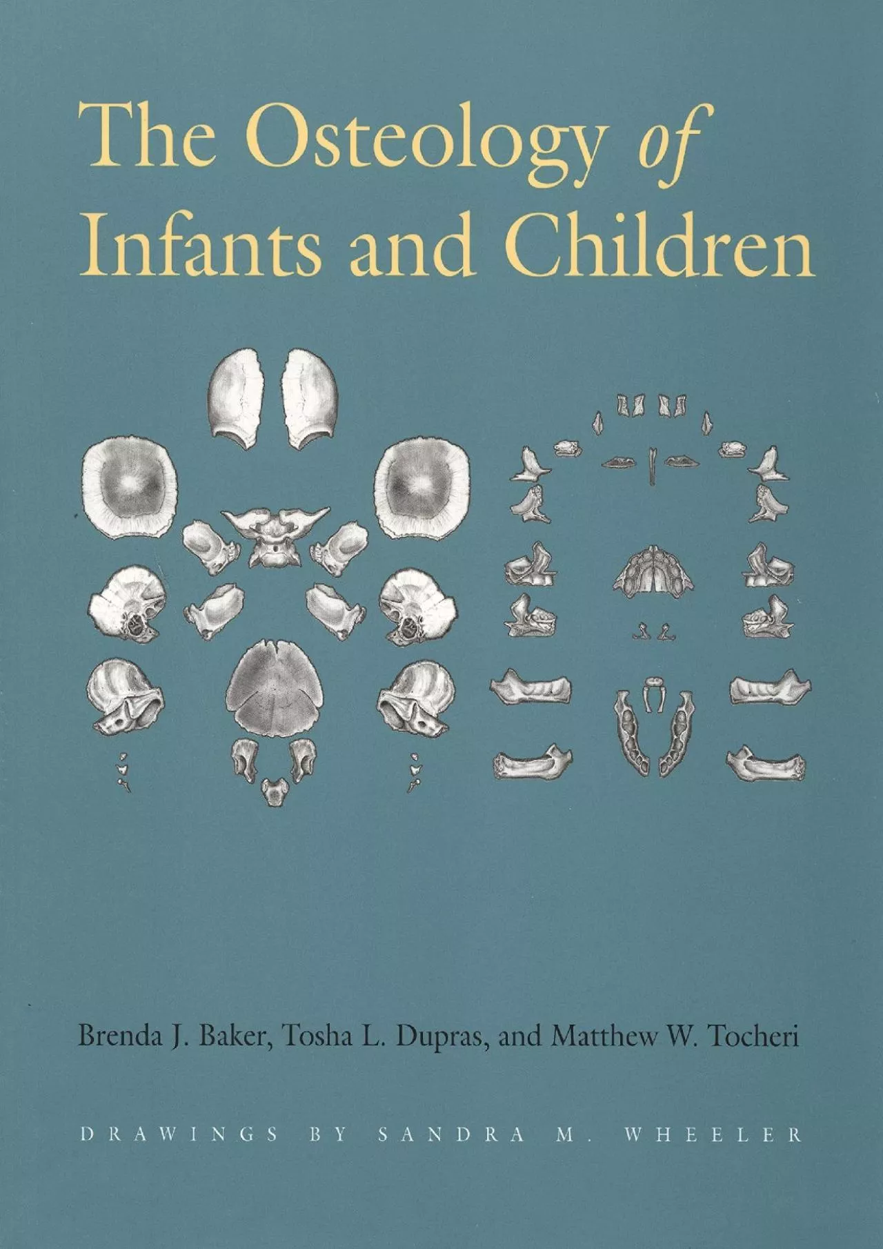 PDF-(BOOK)-Osteology of Infants And Children