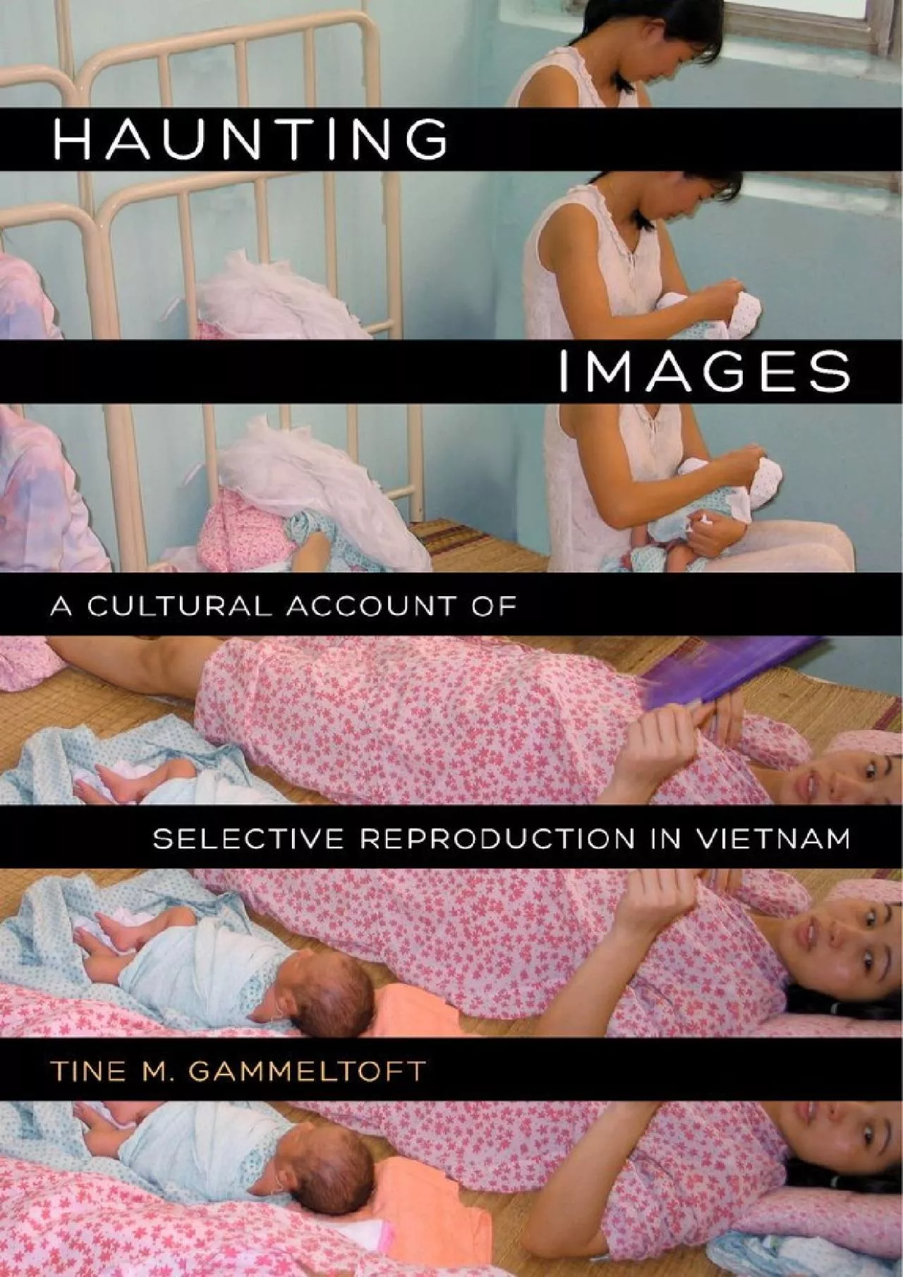 (EBOOK)-Haunting Images: A Cultural Account of Selective Reproduction in Vietnam (Philip