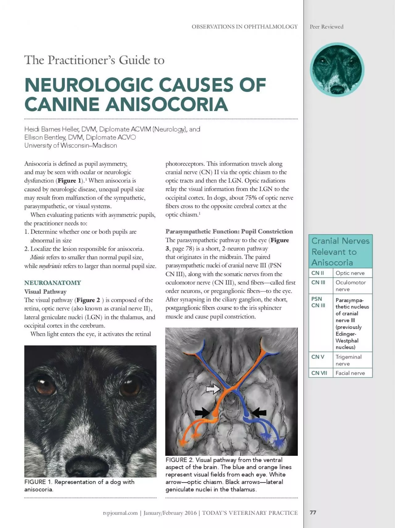 PDF-OBSERVATIONS IN OPHTHALMOLOGYPeer Reviewed