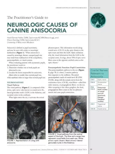 OBSERVATIONS IN OPHTHALMOLOGYPeer Reviewed