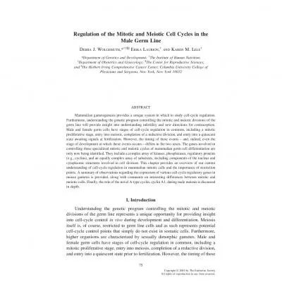 RegulationoftheMitoticandMeioticCellCyclesintheMaleGermLineJWMLDepa