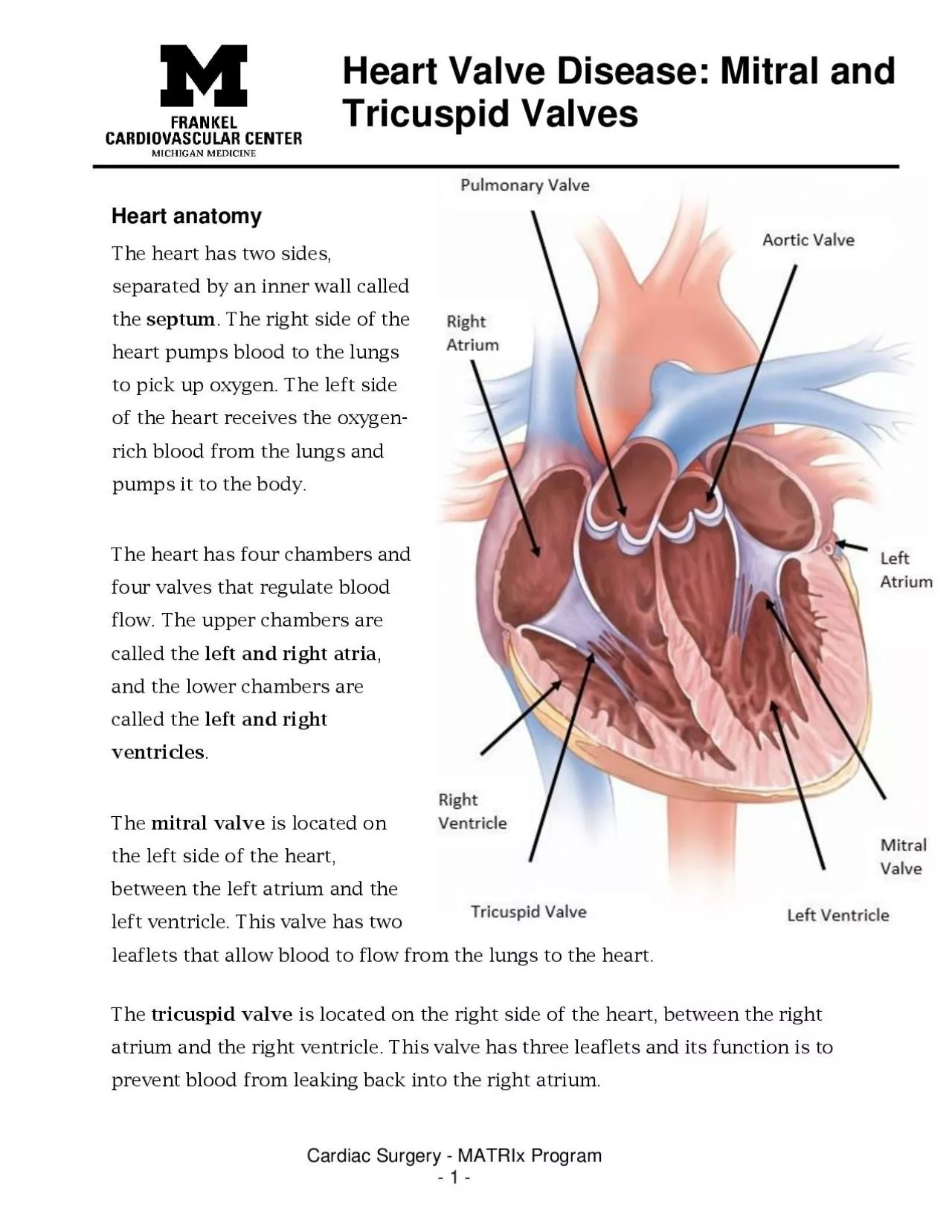 PDF-Heart Valve Disease Mitral and