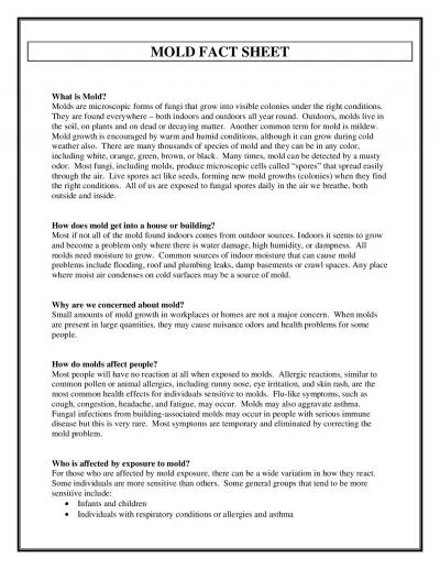 MOLD FACT SHEET