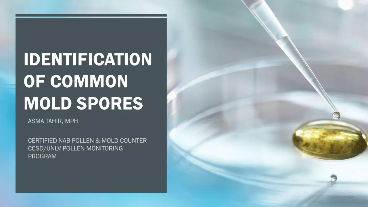 PDF-IDENTIFICATION OF COMMON MOLD SPORES