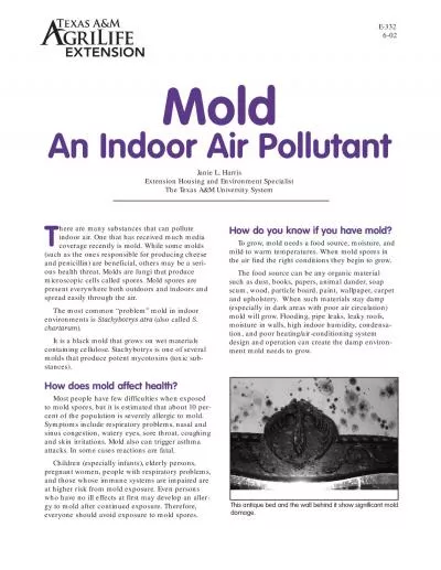 here are many substances that can polluteindoor air One that has rece