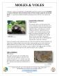 PDF-MOLES VOLES