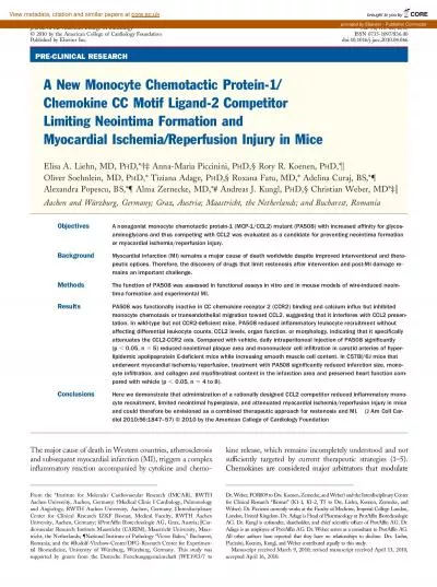 PRECLINICALRESEARCHANewMonocyteChemotacticProtein1ChemokineCCMotifL