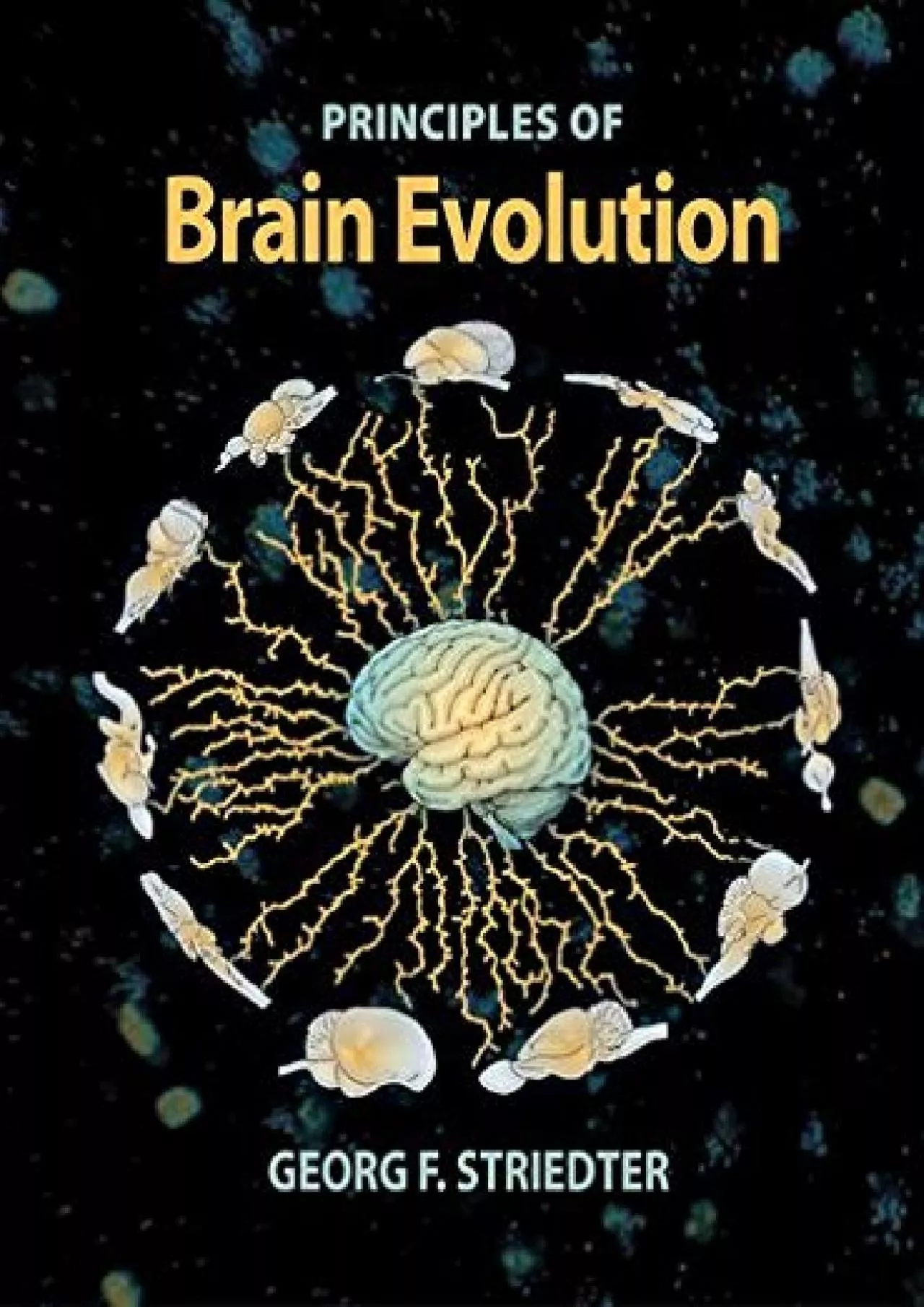 PDF-(EBOOK)-Principles of Brain Evolution