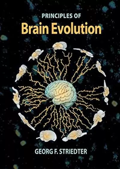 (EBOOK)-Principles of Brain Evolution