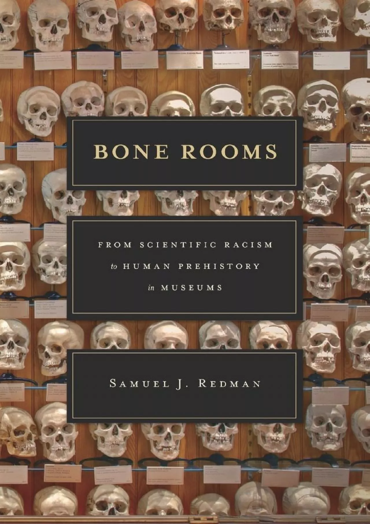 PDF-(READ)-Bone Rooms: From Scientific Racism to Human Prehistory in Museums