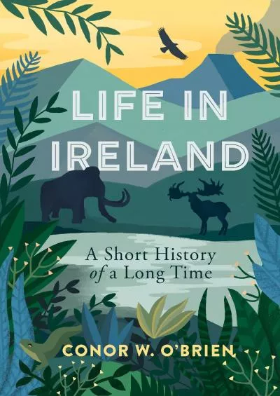 (BOOS)-Life in Ireland: A Short History of a Long Time