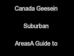 Management of Canada Geesein Suburban AreasA Guide to the Basics
...