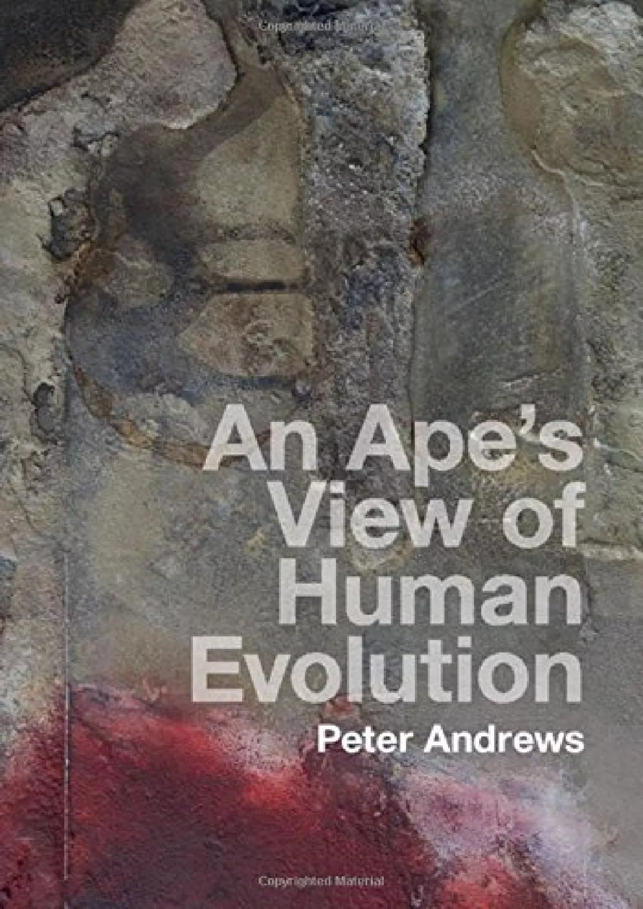 PDF-(READ)-An Ape\'s View of Human Evolution