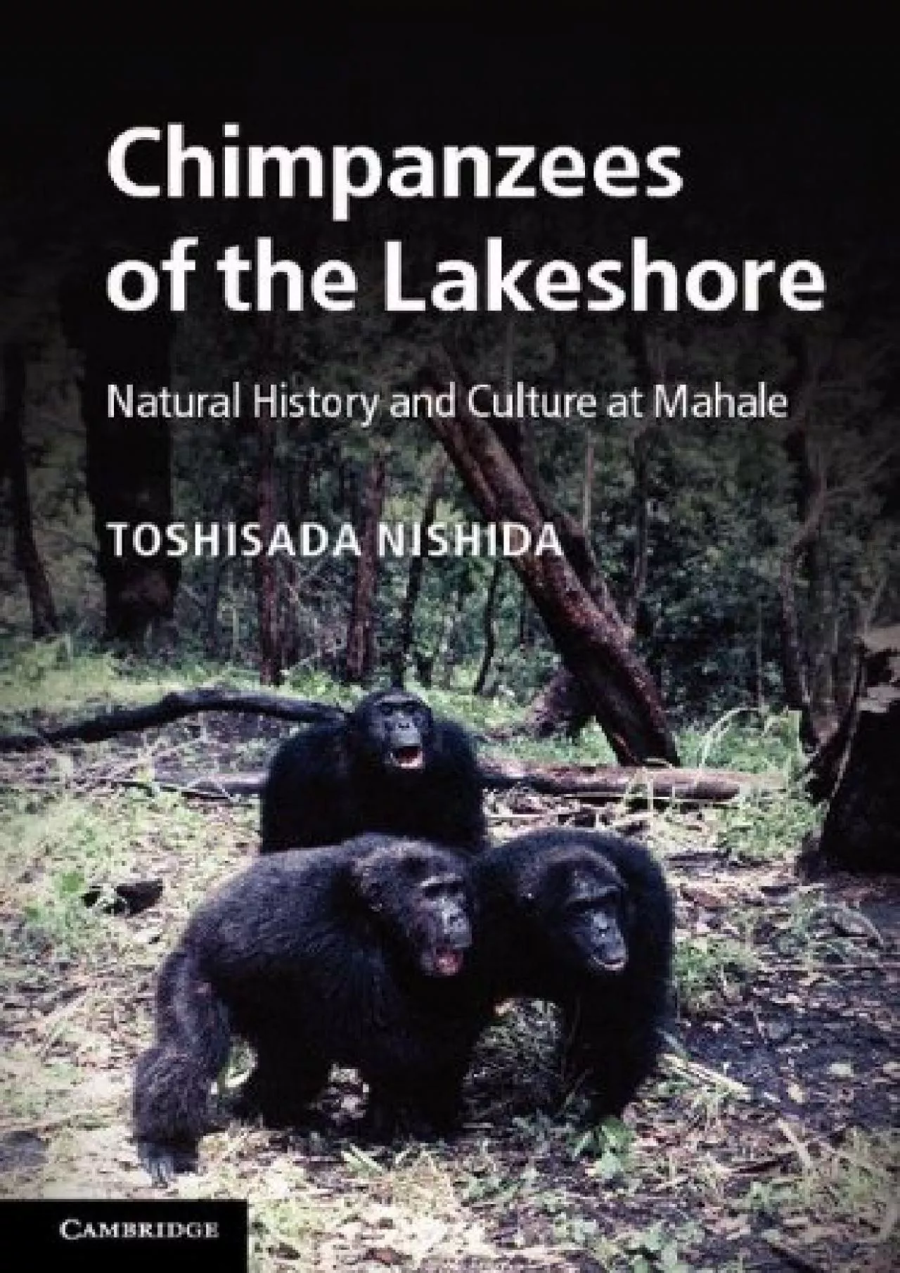 PDF-(READ)-Chimpanzees of the Lakeshore: Natural History and Culture at Mahale