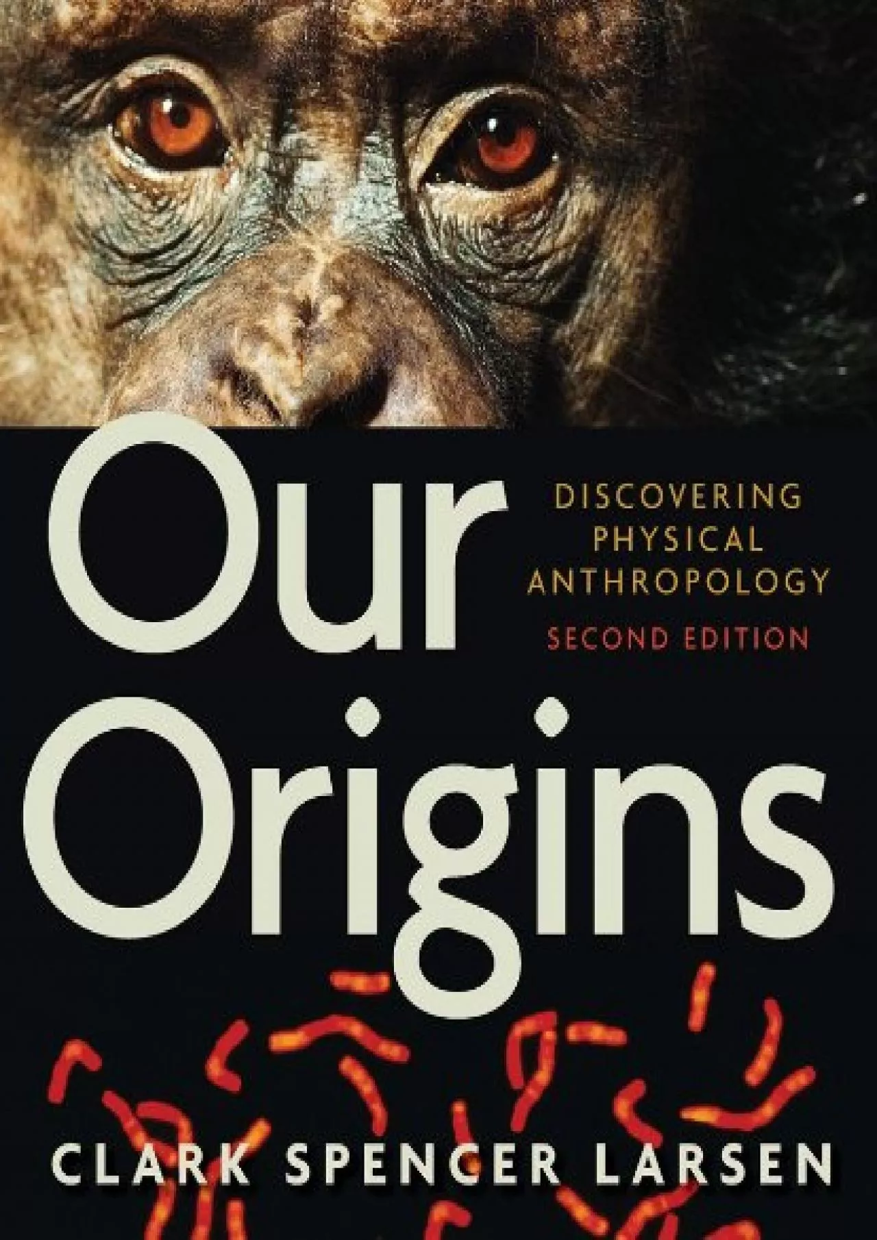 PDF-(BOOS)-Our Origins: Discovering Physical Anthropology (Second Edition)