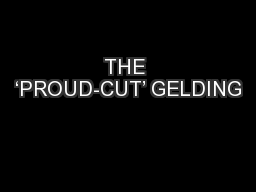 THE ‘PROUD-CUT’ GELDING