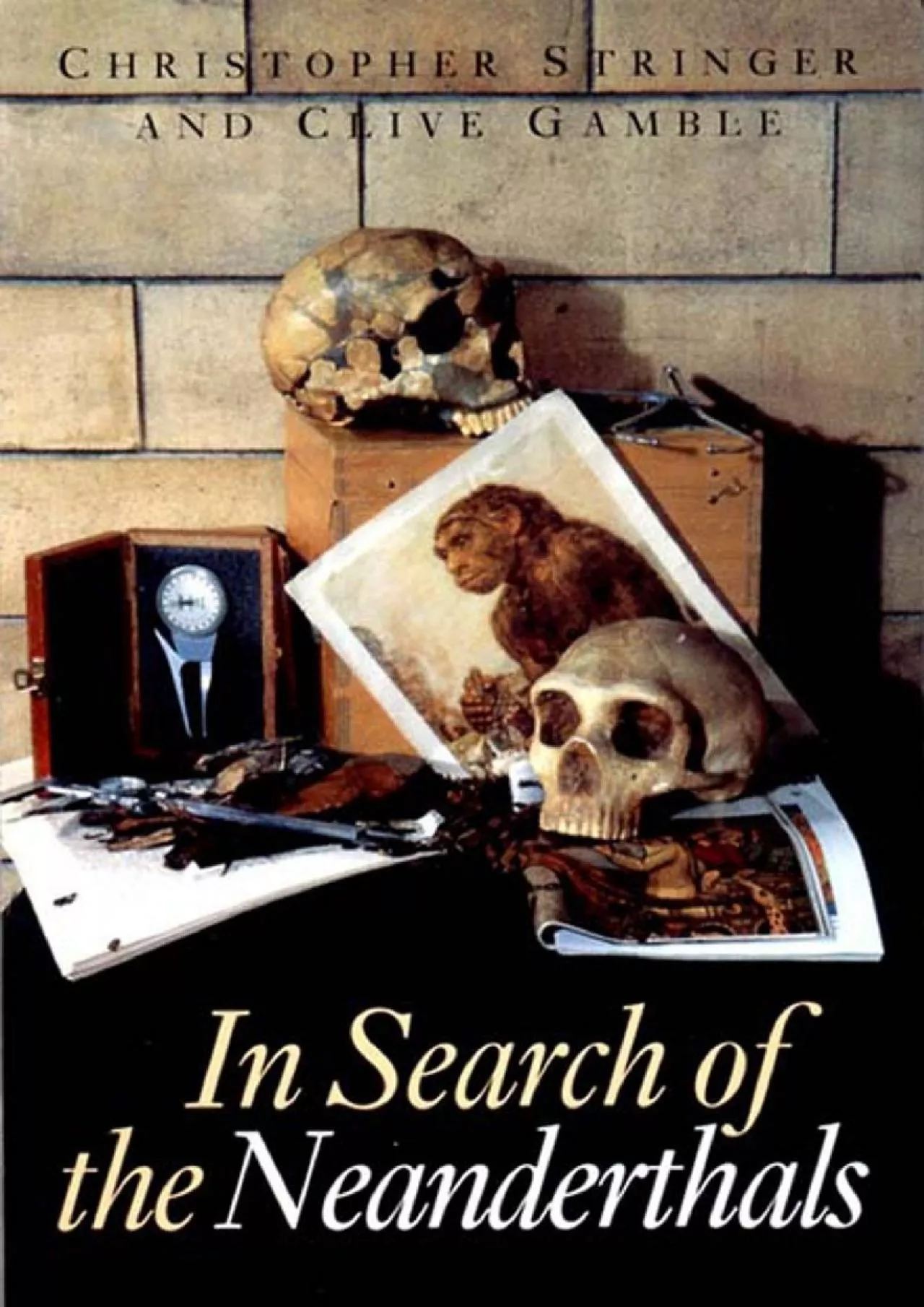 PDF-(DOWNLOAD)-In Search of the Neanderthals: Solving the Puzzle of Human Origins, with 183