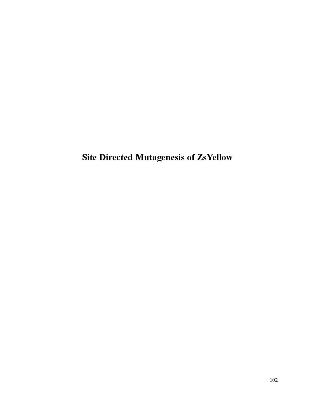 PDF-Site Directed Mutagenesis of ZsYellow