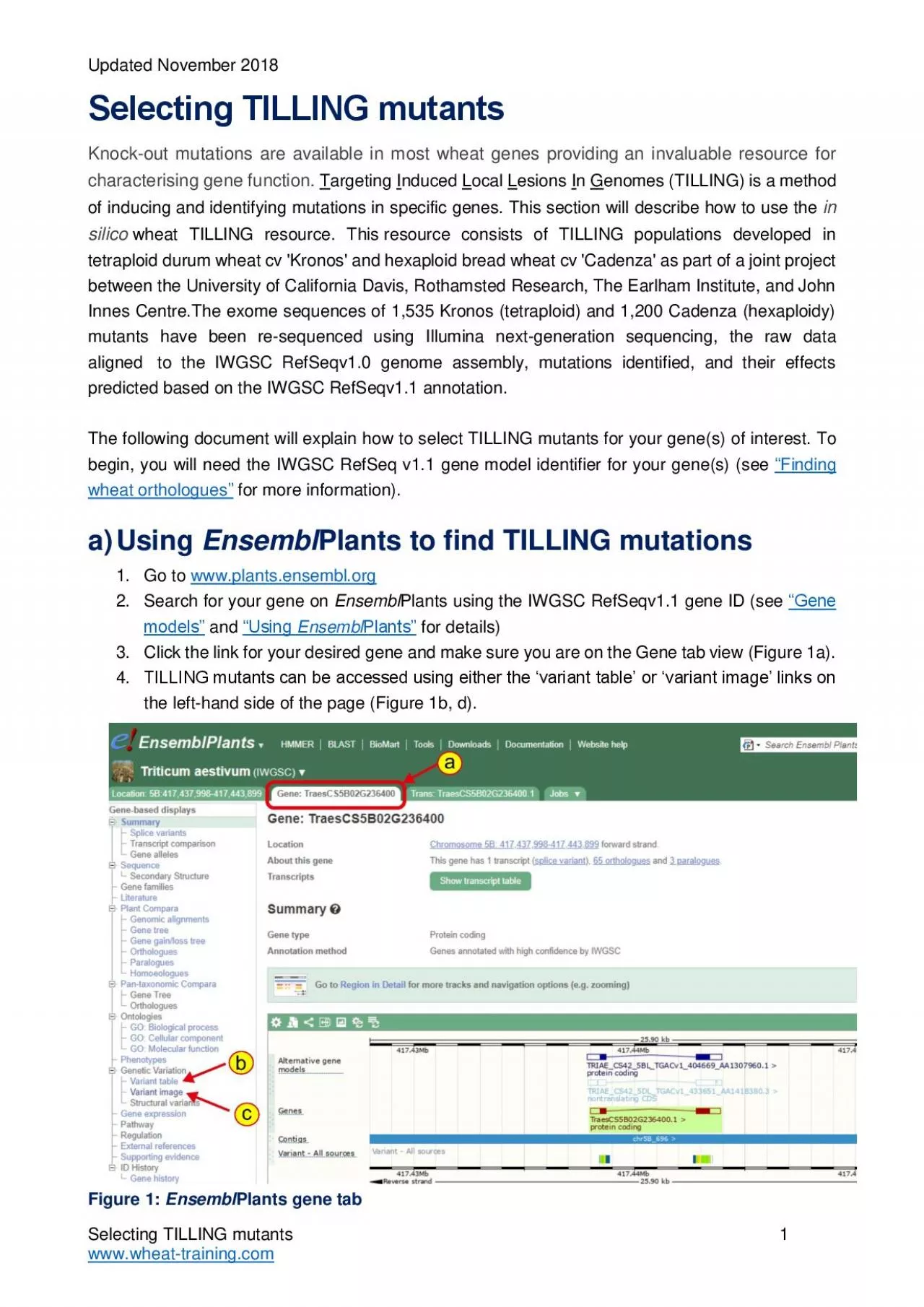 PDF-Selecting TILLING mutants