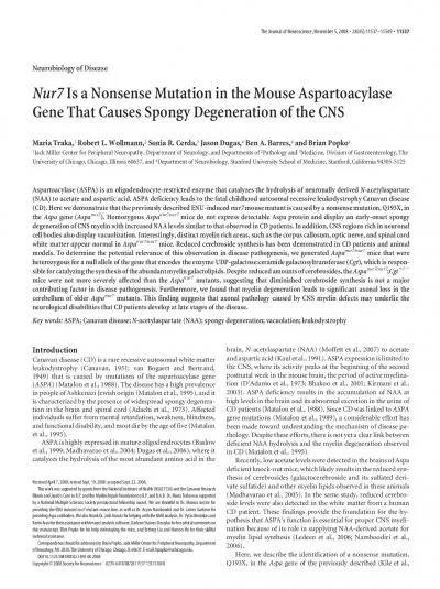 NeurobiologyofDiseaseIsaNonsenseMutationintheMouseAspartoacylaseGeneTh