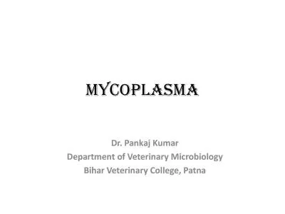 Mycoplasma